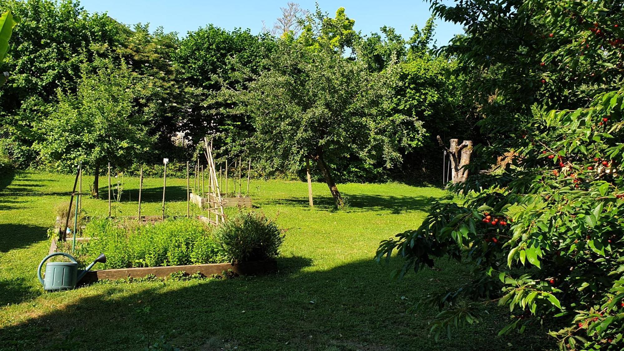 Gite 5 Personnes Fleurville 部屋 写真